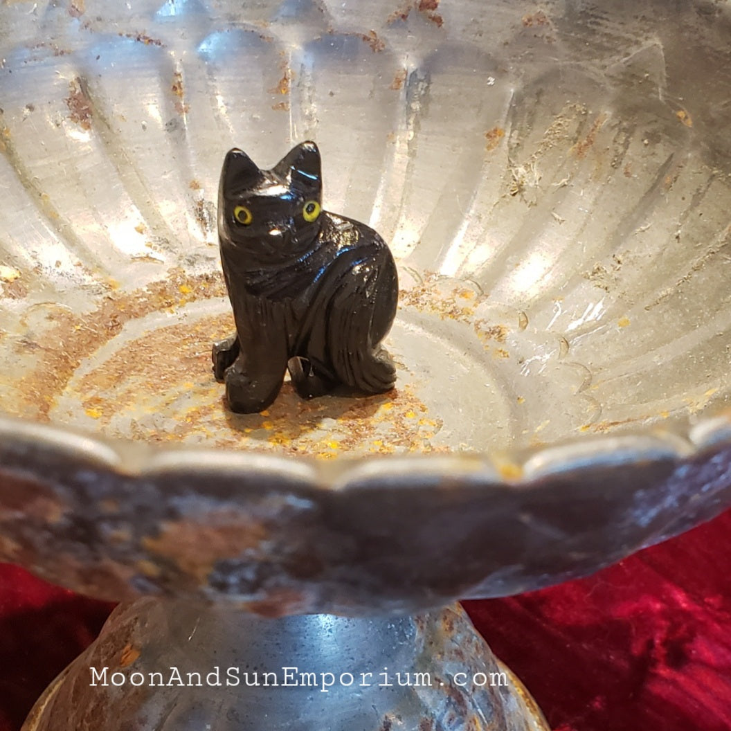 Black Onyx Cat