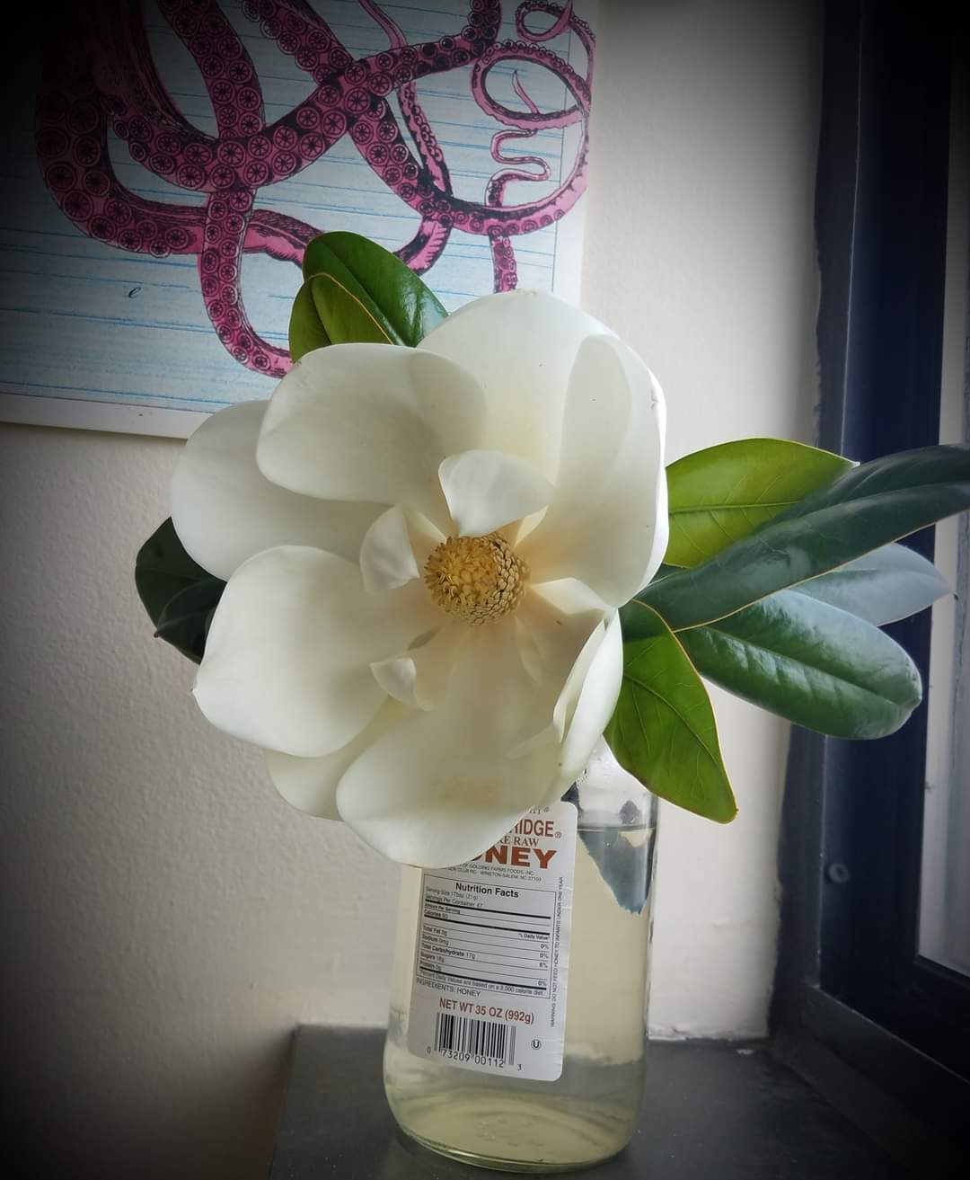 ..And Other Apparitions Natural Perfume