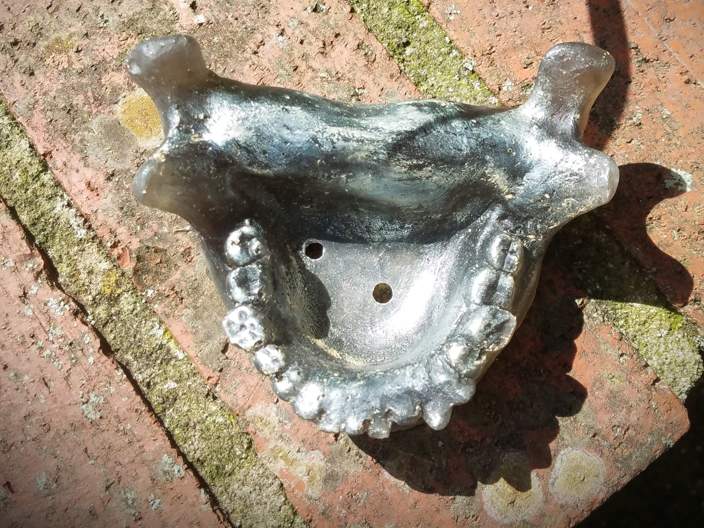 Human Jaw, Realistic Lifesize Faux Taxidermy, Candy Bowl, Soap Dish, Succulent Skull Planter