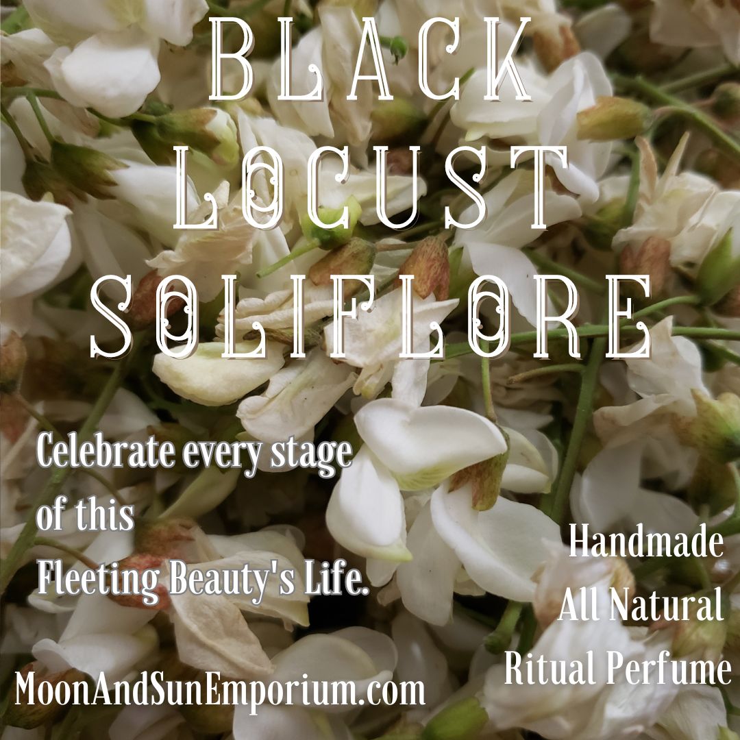 Black Locust Soliflore Natural Perfume