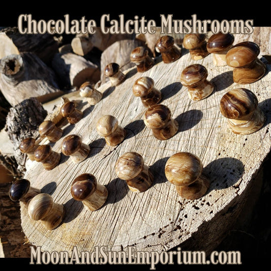 Chocolate Calcite Mushroom