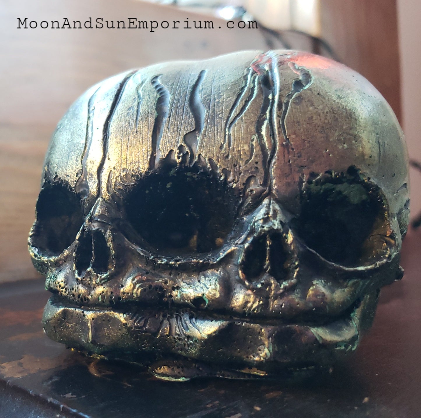 Conjoined Skull