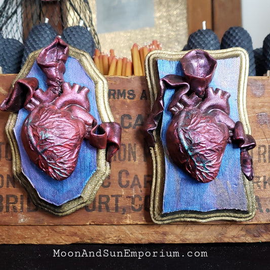 Anatomical Heart Plaque