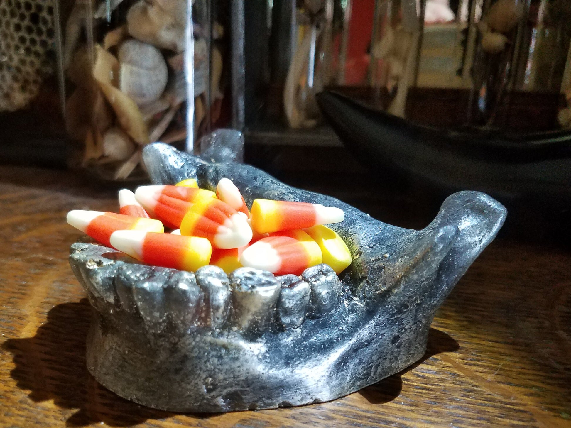 Human Jaw, Realistic Lifesize Faux Taxidermy, Candy Bowl, Soap Dish, Succulent Skull Planter